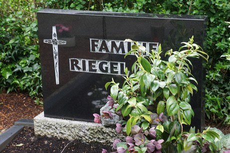 Friedhof