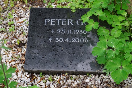 Friedhof