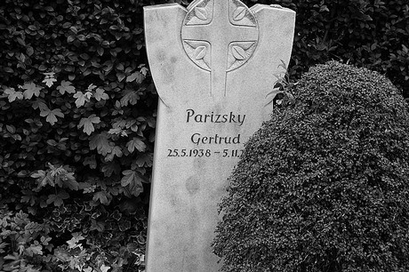 Friedhof