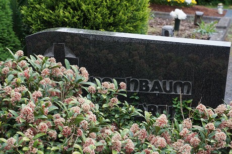 Friedhof