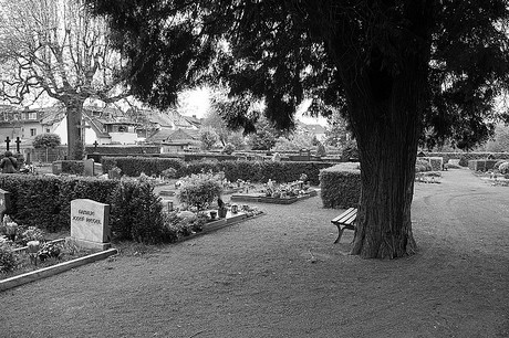 Friedhof