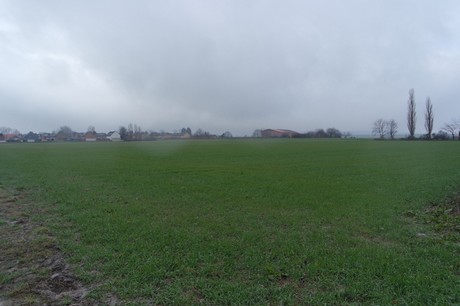 fliesteden