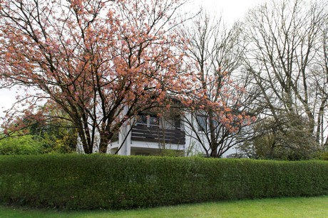 forsbach