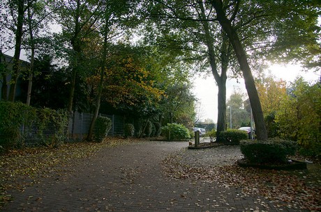 Frechen