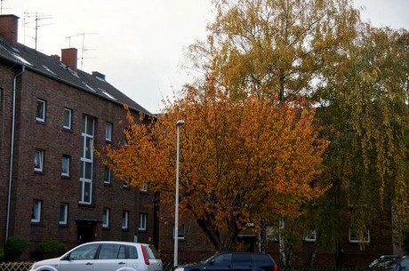 Frechen