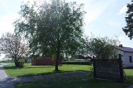 Friedrichskoog