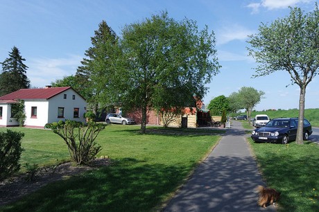 Friedrichskoog