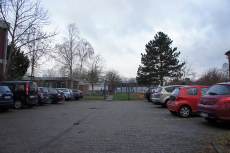 friesheim