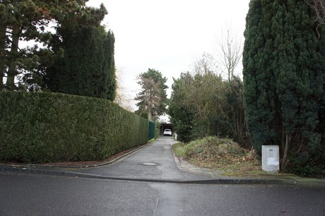 friesheim