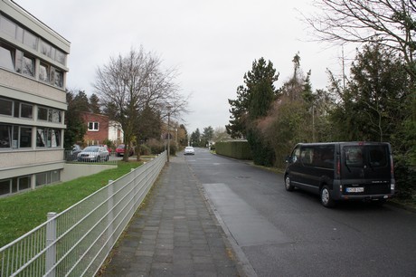 friesheim