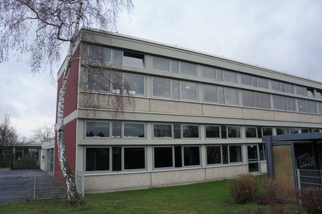 friesheim