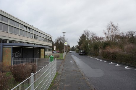 friesheim
