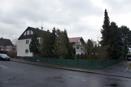 friesheim
