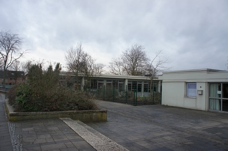 friesheim