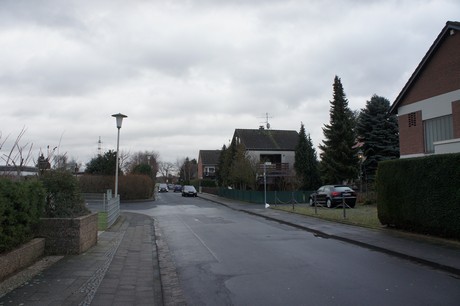 friesheim