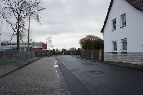 friesheim