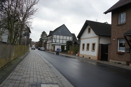 friesheim