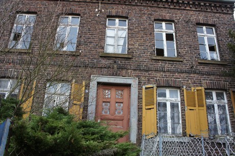 friesheim