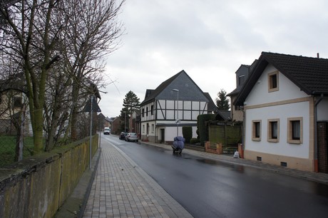 friesheim