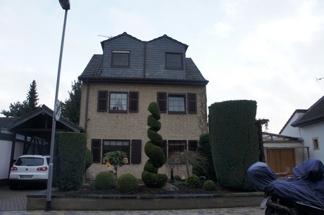 friesheim