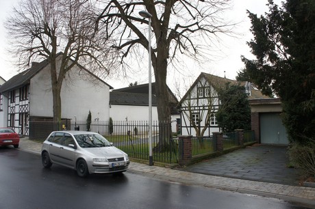 friesheim