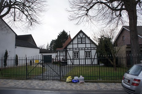 friesheim
