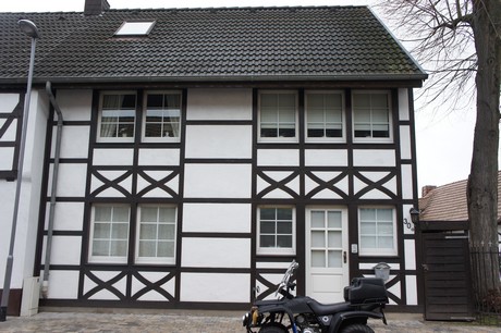 friesheim