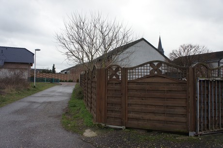 friesheim