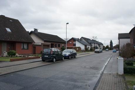 friesheim