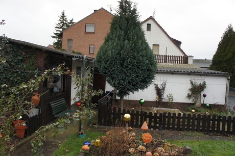 friesheim