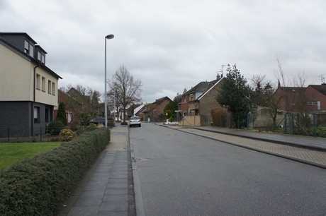friesheim