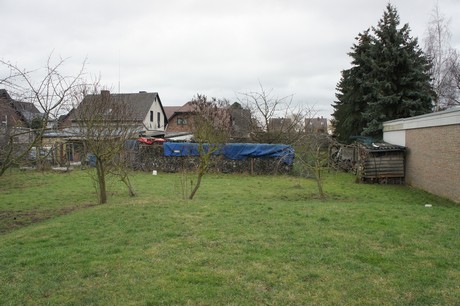 friesheim