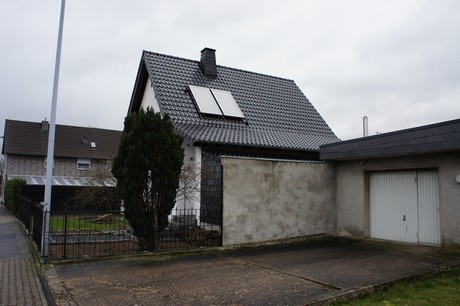 friesheim
