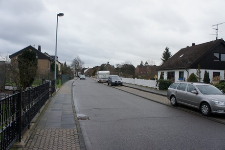 friesheim