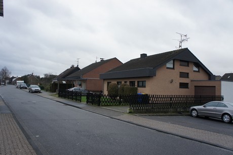 friesheim