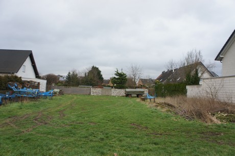 friesheim
