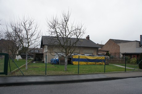 friesheim