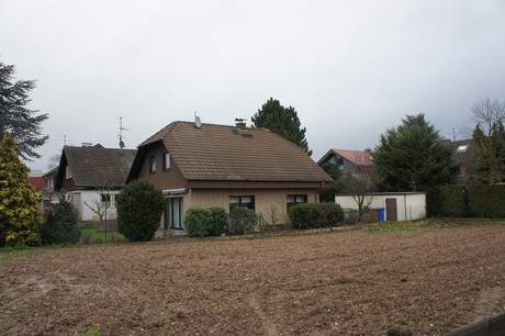 friesheim