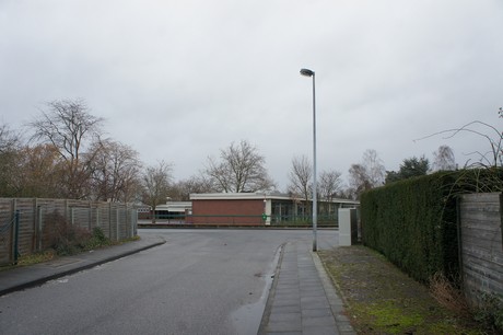 friesheim