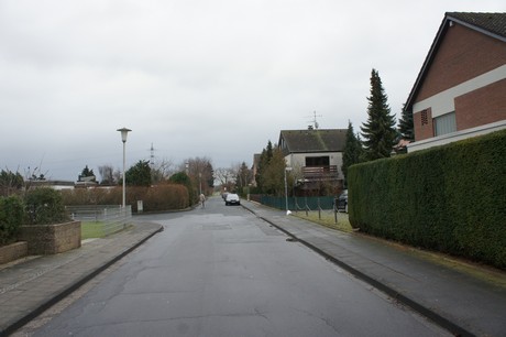 friesheim