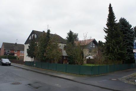 friesheim