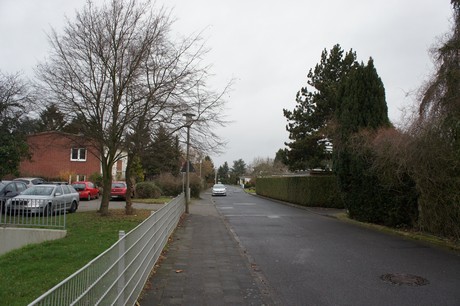 friesheim