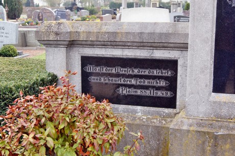 friedhof
