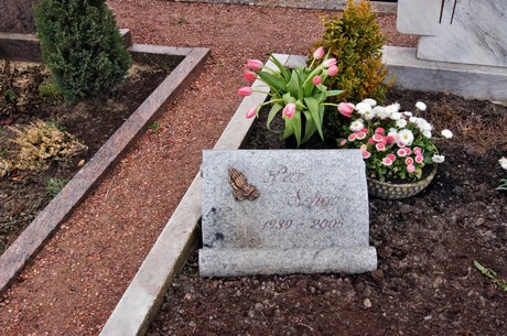 friedhof