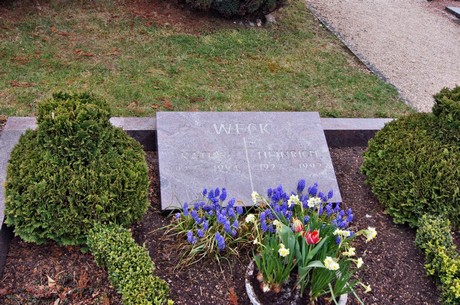 friedhof