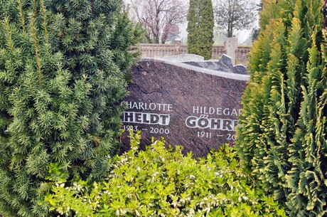 friedhof
