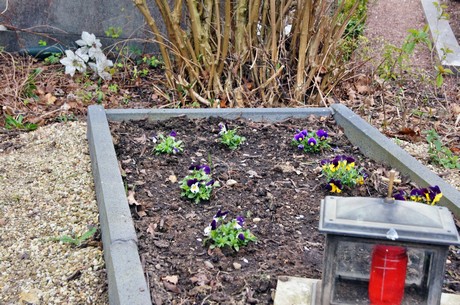 friedhof