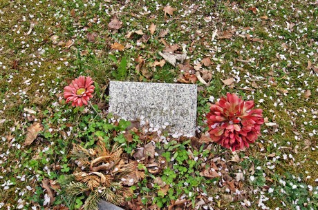 friedhof