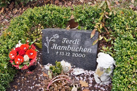 friedhof
