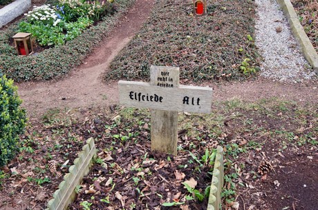 friedhof